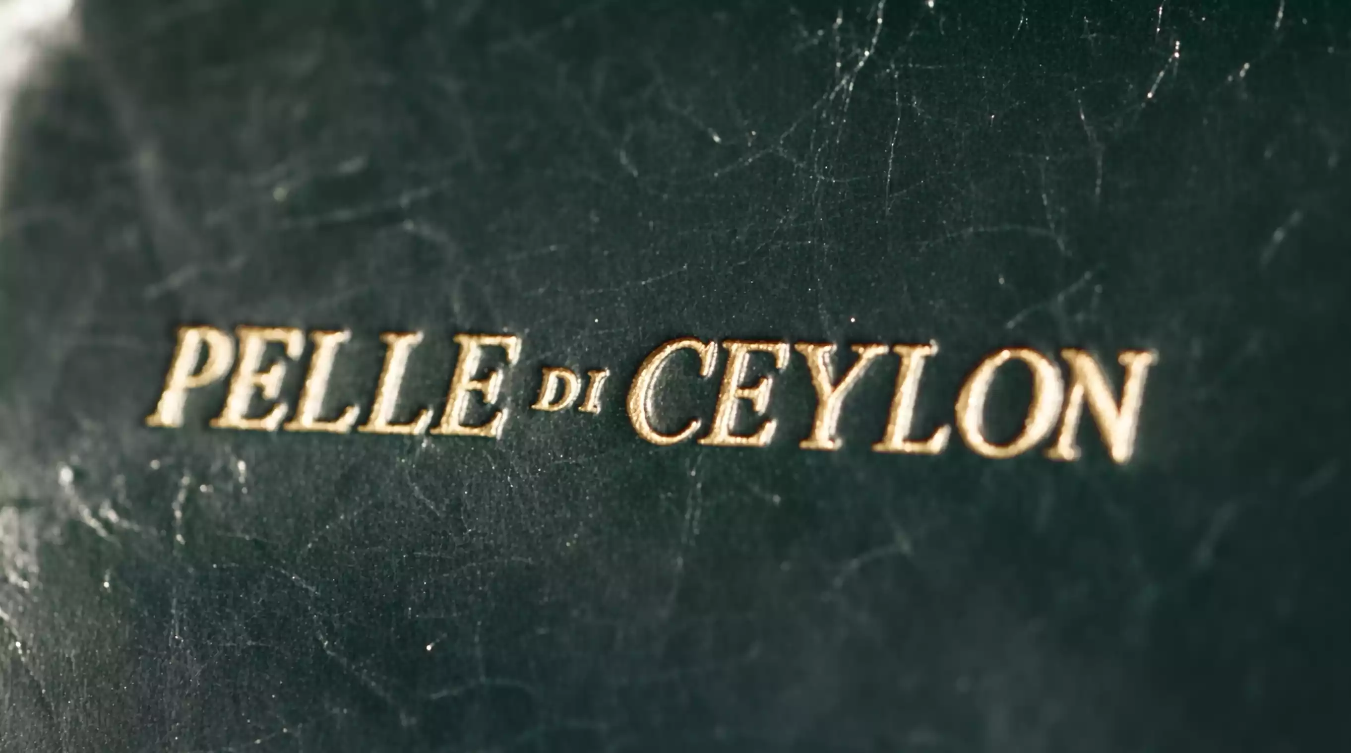 Pelle Di Ceylon Wallet Text logo